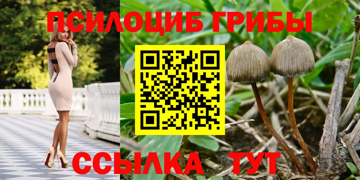 Псилоцибиновые грибы мухоморы Барабинск