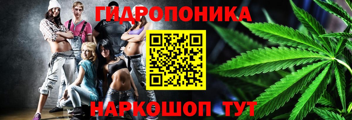 Конопля индика  Бошки Шишки Amnesia  Вход с VPN  Барабинск 